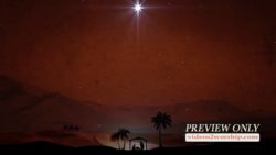 Read more about the article Christmas Night Nativity Scene Video