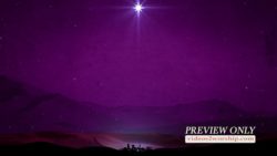 Read more about the article Still: Bethlehem Town