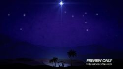 Read more about the article Christmas Eve Nativity Scene Video
