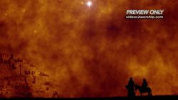 Read more about the article Christmas Journey To Bethlehem