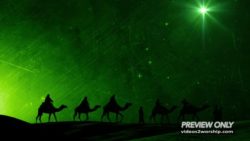 Read more about the article Magi Caravan Following The Star