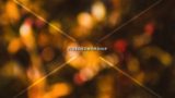 Blurred Autumn Colors
