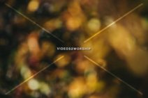 Read more about the article Stock Photography Blurred Colorful Leaves