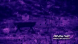 Read more about the article Blurred Christmas Manger Backdrop