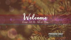 Read more about the article Winter Holidays Evergreen Welcome