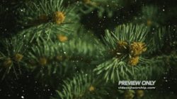 Read more about the article Evergreen Branches And Falling Snow