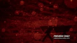 Read more about the article Still: Silent Night