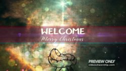Read more about the article Still: Advent Welcome