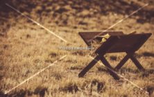 Read more about the article Stock Photography Manger In The Field