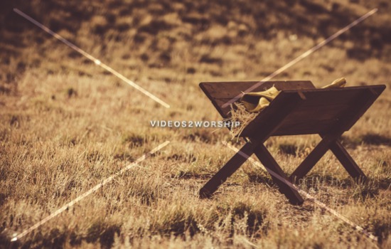 Read more about the article Stock Photography Manger In The Field