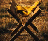 Read more about the article Stock Photography Manger Cloth And Straws