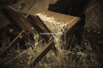 Read more about the article Stock Photography Manger And Large Boulders