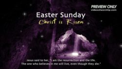 Read more about the article Free Easter Sunday Christ Is Risen Text