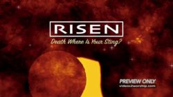 Read more about the article Risen Easter Resurrection Title Motion