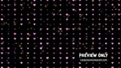 Read more about the article Hearts And Stars On Black Backdrop