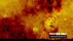 Read more about the article Lion And Three Empty Crosses Background