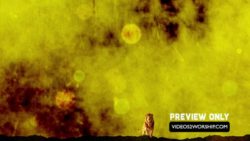 Read more about the article Lower Thirds Lion Moving Background