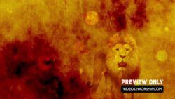 Read more about the article Vintage Lion Church Worship Background