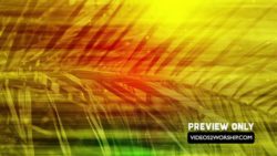 Read more about the article Palm Sunday Church Background