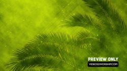 Read more about the article Palm Sunday Branches Background