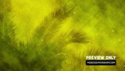 Read more about the article Palm Sunday Church Media Video