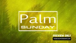 Read more about the article Church Palm Sunday Worship Motion