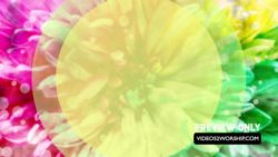 Read more about the article Colorful Easter Motion Videos