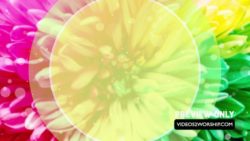 Read more about the article Title Ready Colorful Easter Motion Loop