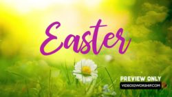 Read more about the article Green Easter Title Motion Worship