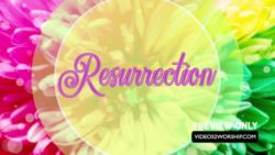 Read more about the article Still: Resurrection Text