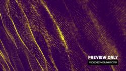 Read more about the article Particles Wave Church Motion Loop