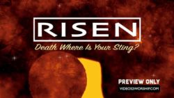 Read more about the article Still: Risen Text Background