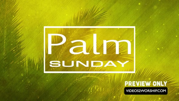 Read more about the article Still: Palm Sunday