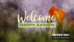 Read more about the article Easter Resurrection Welcome Video