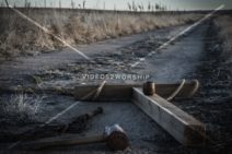 Read more about the article Stock Photography: Passion Week 28