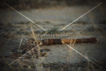 Read more about the article Stock Photography: Easter Passion