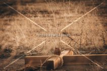 Read more about the article Stock Photography: Passion Week 19