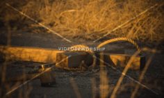 Read more about the article Stock Photography: Passion Week 5