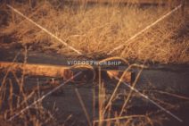 Read more about the article Stock Photography: Wooden Cross And Hammer