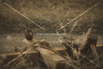 Read more about the article Stock Photography: Suffering Of Jesus