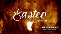 Read more about the article Still: Easter Text Image