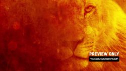 Read more about the article Lion Head Church Worship Media