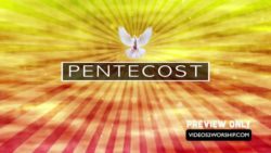 Read more about the article Pentecost Dove Church Media Video