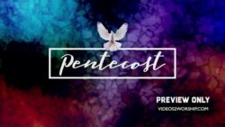 Read more about the article Still: Pentecost Dove