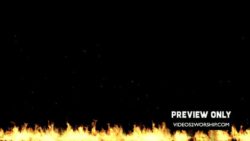 Read more about the article Fire Motion Background Video