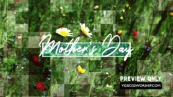 Read more about the article Mothers Day Flowers Title Background