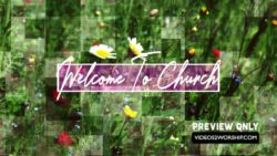 Read more about the article Flowers Welcome Moving Background