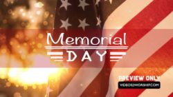 Read more about the article Memorial Day Title Motion Graphics Loop