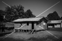 Read more about the article Stock Photography: Amazonian Native House