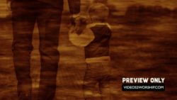 Read more about the article Free Fathers Day Motion Background